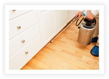 Exterminator spraying for pests along the base of a home's kitchen cabinets